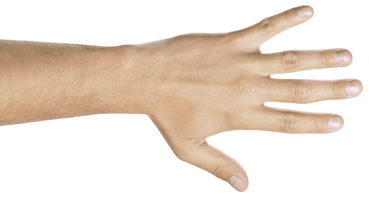 hand