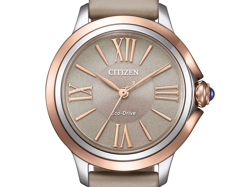 Citizen Elegant Ref.EM1166-01Z Full Set Neu