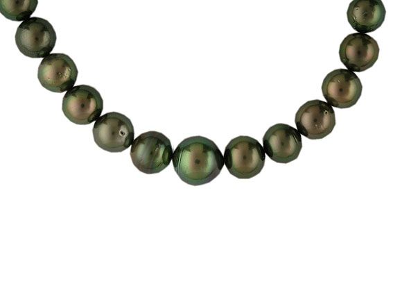 Strang Tahiti Perlen 10 bis 15mm N E U