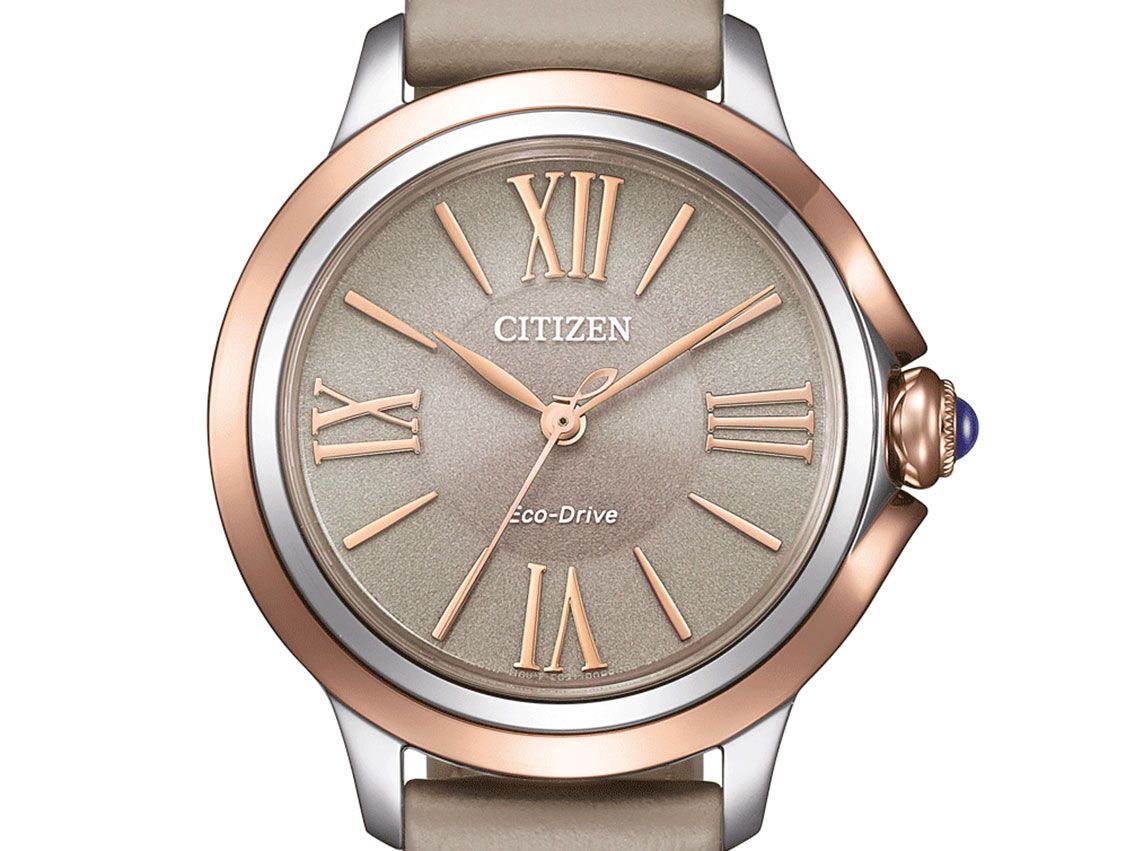 Citizen Elegant Ref.EM1166-01Z Full Set Neu